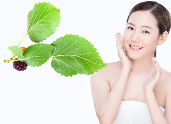 Khám phá công dụng làm đẹp của dâu tằm khiến hội chị em “phát cuồng” Khám phá công dụng làm đẹp của dâu tằm khiến hội chị em “phát cuồng”