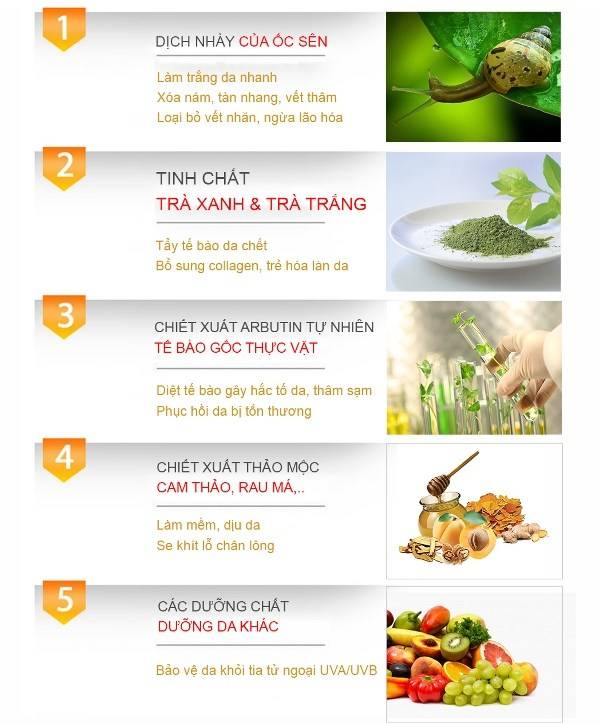 Thành phần chính của CC Cream Sakura hoàn toàn chiết xuất từ thiên nhiên Thành phần chính của CC Cream Sakura hoàn toàn chiết xuất từ thiên nhiên