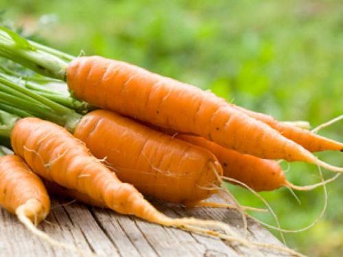 Cà rốt có khả năng giúp da trắng sáng và làm chậm quá trình lão hóa